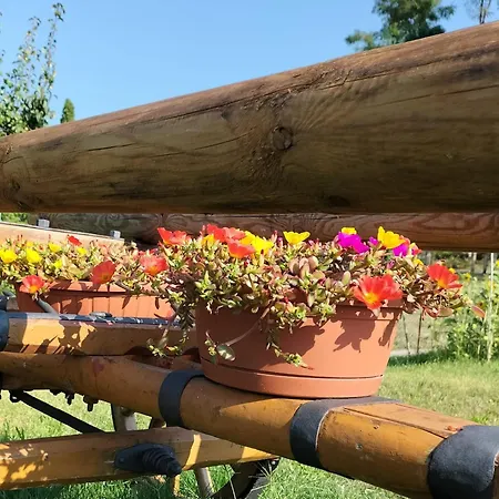 I Girasoli Bed & Breakfast *